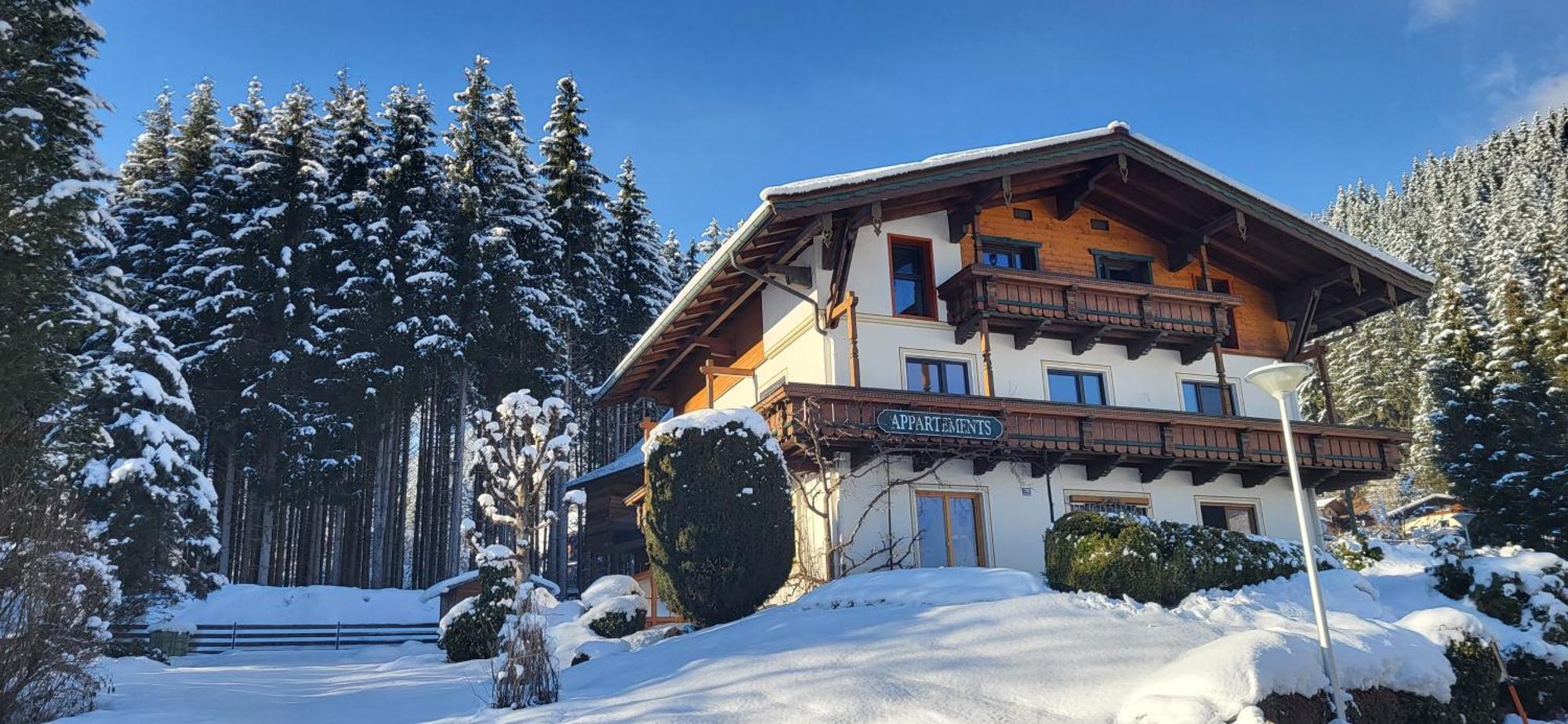 Neukirchen am GroßvenedigerAm Waldrand 252公寓 外观 照片